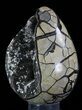 Septarian Dragon Egg Geode - Black Crystals #88337-1